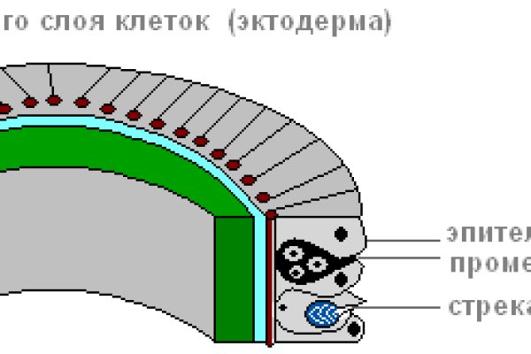 Даркнет рынка mega