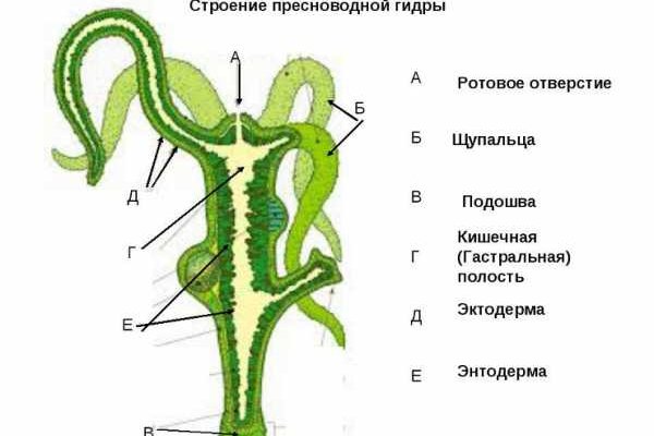 Мега ссылка сайт